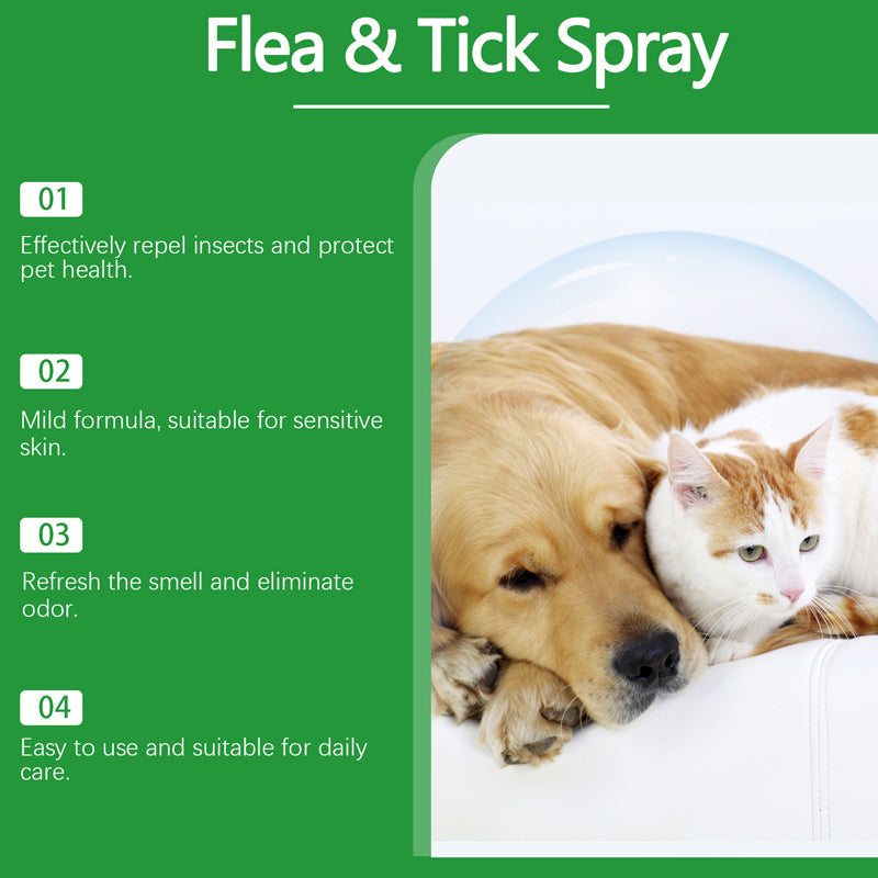 🍃Spray naturale contro pulci e zecche per cani e gatti🐾 Proteggi il tuo amato animale domestico dai parassiti