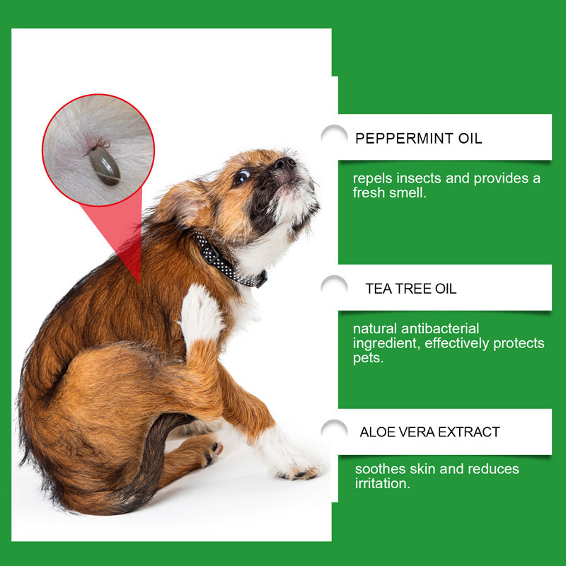 🍃Spray naturale contro pulci e zecche per cani e gatti🐾 Proteggi il tuo amato animale domestico dai parassiti