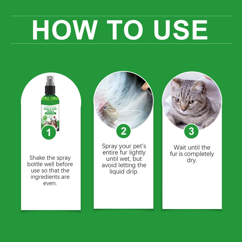 🍃Spray naturale contro pulci e zecche per cani e gatti🐾 Proteggi il tuo amato animale domestico dai parassiti