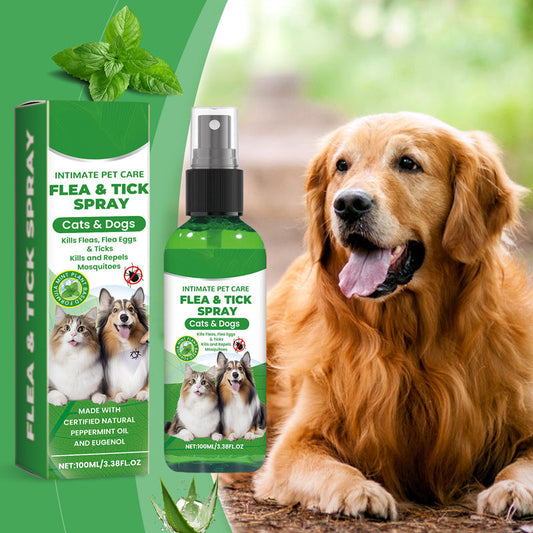 🍃Spray naturale contro pulci e zecche per cani e gatti🐾 Proteggi il tuo amato animale domestico dai parassiti