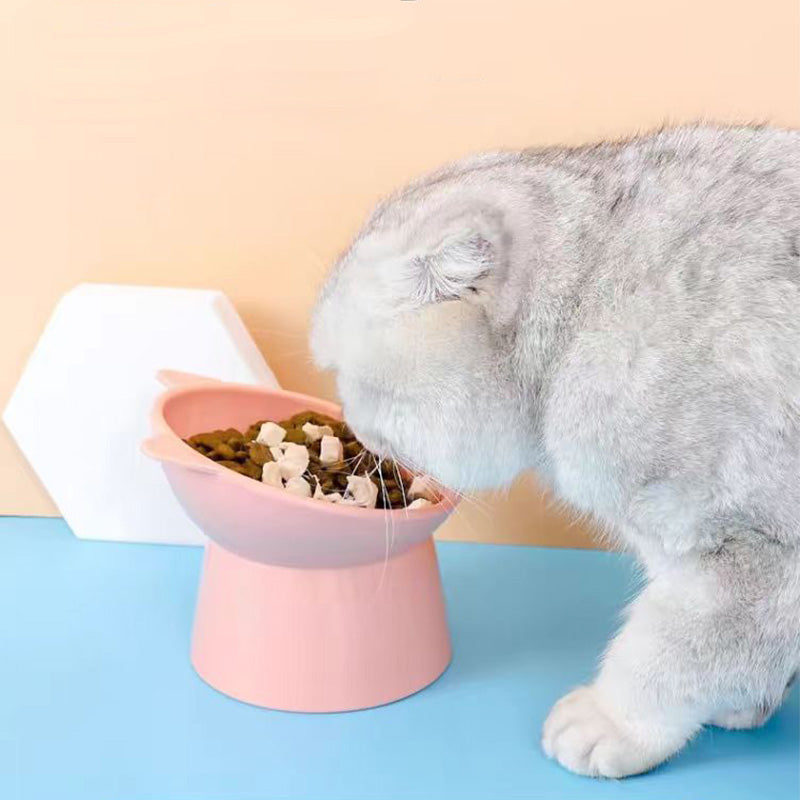 Ciotola ergonomica per gatti