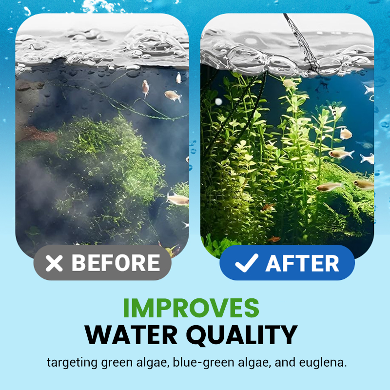 🦠⚰️ 50% KORTING! Stop met het leven in een bacterieel moeras! Deze zuiveringstablet executeert algen, schimmels en ziekmakende stank in één klap. Jouw aquarium, vaas of drinkfles wordt weer glashelder!