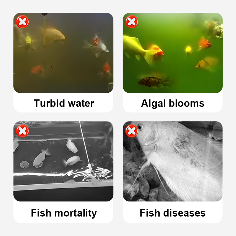 🦠⚰️ 50% KORTING! Stop met het leven in een bacterieel moeras! Deze zuiveringstablet executeert algen, schimmels en ziekmakende stank in één klap. Jouw aquarium, vaas of drinkfles wordt weer glashelder!
