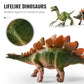 😸 Set di Gioco con Dinosauri Divertente ed Educativa per Bambini