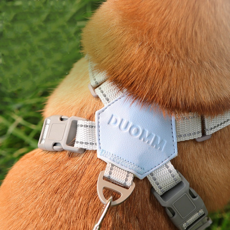 Set Pettorina per Cani Anti-Trazione a X con Guinzaglio