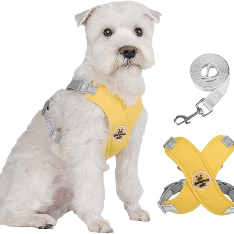 Set Pettorina per Cani Anti-Trazione a X con Guinzaglio