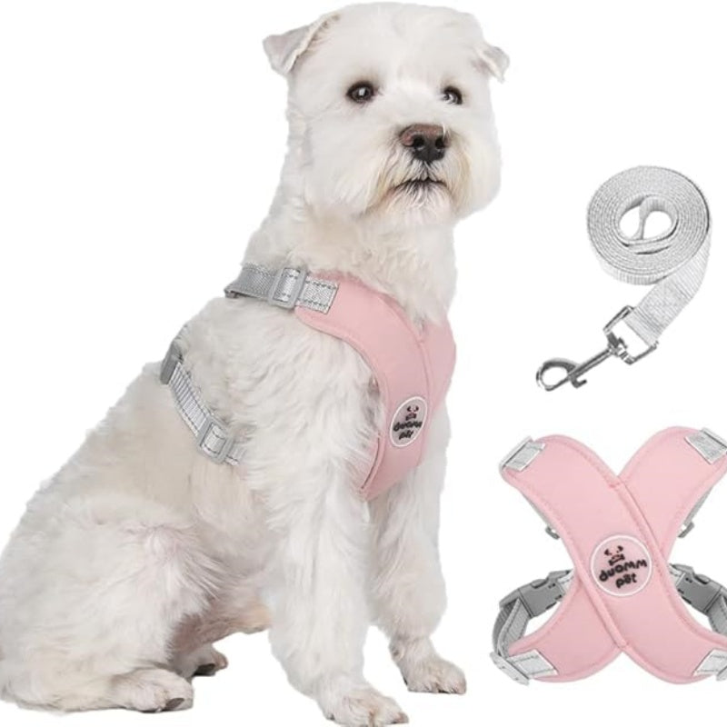 Set Pettorina per Cani Anti-Trazione a X con Guinzaglio