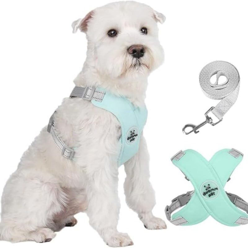 Set Pettorina per Cani Anti-Trazione a X con Guinzaglio