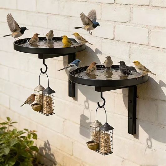 ⏳Offerta a tempo limitato⏰Bagno per uccelli da parete in metallo – finitura bronzo antico 🐦