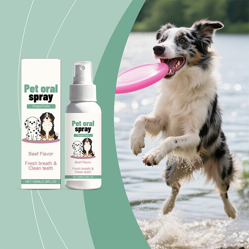 Spray delicato per l'igiene orale degli animali domestici