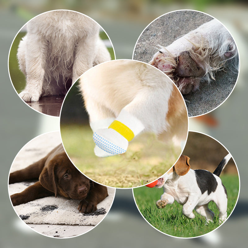 Scarpe monouso anti-sporco per animali domestici