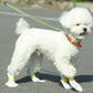Scarpe monouso anti-sporco per animali domestici