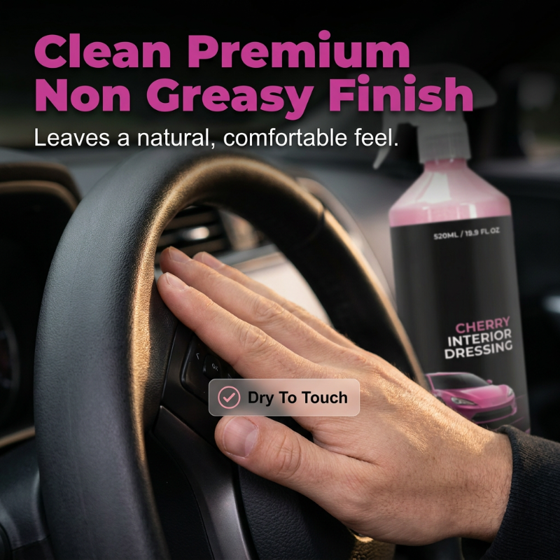 🏆OFFERTA SPECIALE 50% DI SCONTO🔥Spray detergente multiuso per interni auto
