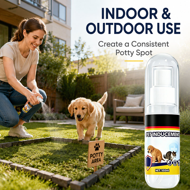 🐶Desconto de 50% no último dia 💨 🚽Spray atrativo para o treino de casa dos cães