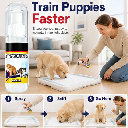 🐶Desconto de 50% no último dia 💨 🚽Spray atrativo para o treino de casa dos cães