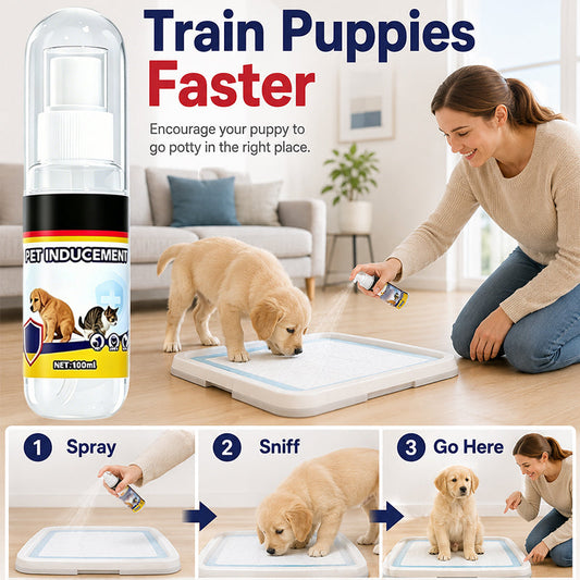 🐶Desconto de 50% no último dia 💨 🚽Spray atrativo para o treino de casa dos cães