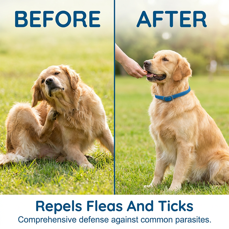 🎉 FLASH DEAL 50% OFF🐶🐱 – Plant-Based Flea & Tick Collar 🌿 Up to 8 Months Protection, Slow-Release Oils, Water-Resistant 💦 Repels Mosquitoes & Larvae, Comfortable & Safe for Daily Wear 🐕