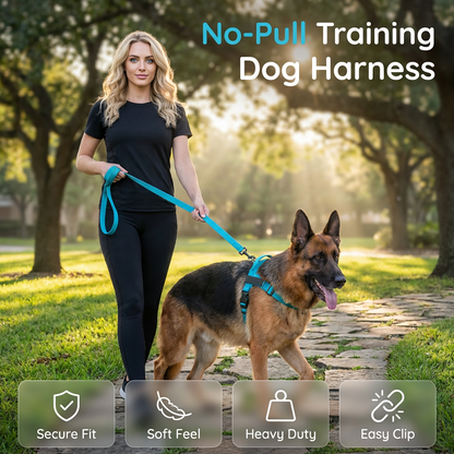 Pettorina imbottita per cani, facile da indossare e togliere, ideale per le passeggiate.