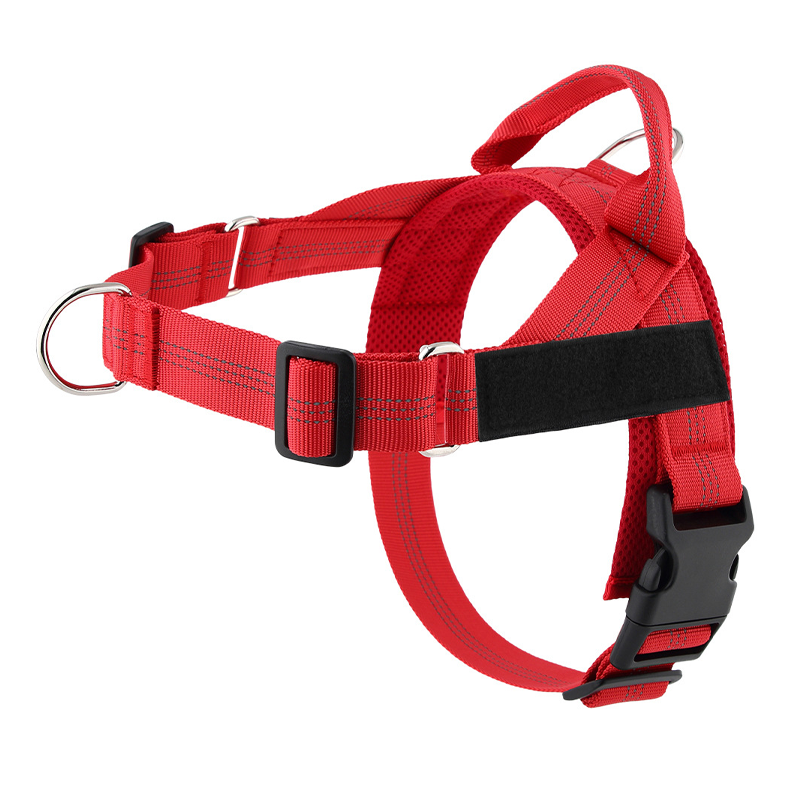 Pettorina imbottita per cani, facile da indossare e togliere, ideale per le passeggiate.