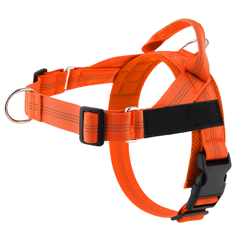 Pettorina imbottita per cani, facile da indossare e togliere, ideale per le passeggiate.