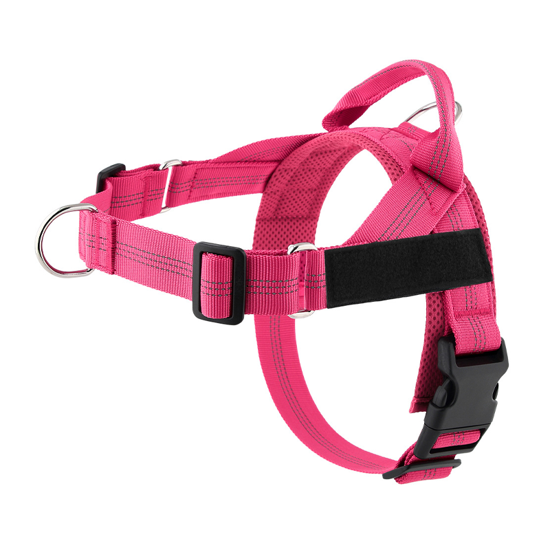 Pettorina imbottita per cani, facile da indossare e togliere, ideale per le passeggiate.