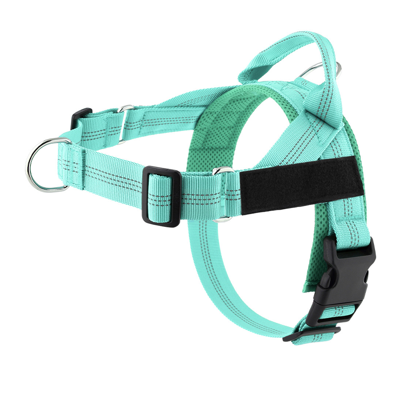 Pettorina imbottita per cani, facile da indossare e togliere, ideale per le passeggiate.