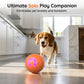🥳VENDITA 2026🥳💞50.000+ VENDUTI!🐱🐶 SCONTO 50%! Pallina Intelligente Auto-Rimbalzante per Animali – Compagno di gioco autonomo, riduce ansia e noia. Resistente e sicura per cani piccoli e gatti. Ricarica USB! 🐾✨