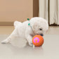 🥳VENDITA 2026🥳💞50.000+ VENDUTI!🐱🐶 SCONTO 50%! Pallina Intelligente Auto-Rimbalzante per Animali – Compagno di gioco autonomo, riduce ansia e noia. Resistente e sicura per cani piccoli e gatti. Ricarica USB! 🐾✨