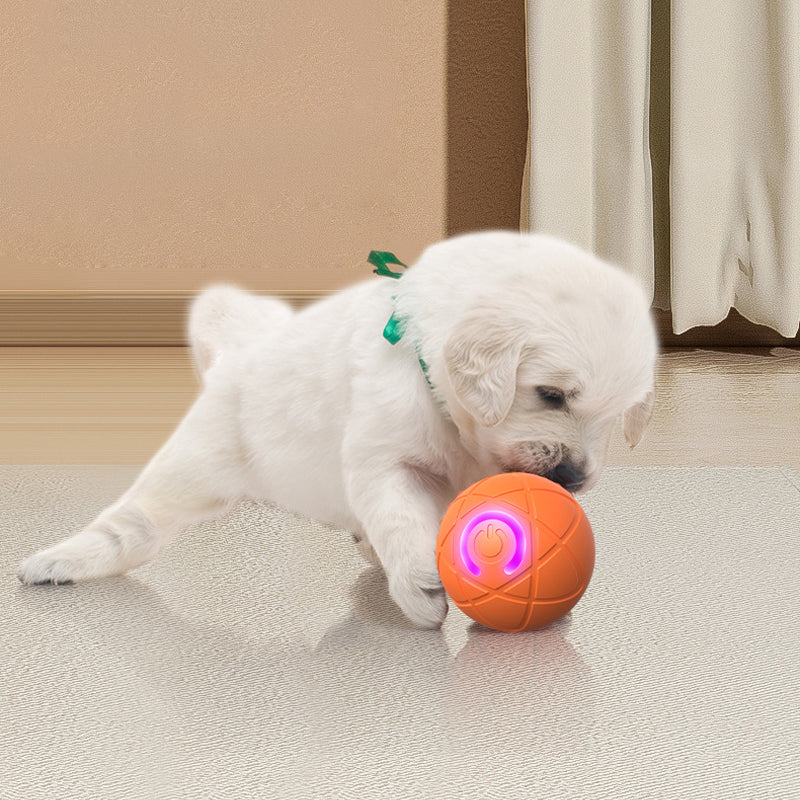 🥳VENDITA 2026🥳💞50.000+ VENDUTI!🐱🐶 SCONTO 50%! Pallina Intelligente Auto-Rimbalzante per Animali – Compagno di gioco autonomo, riduce ansia e noia. Resistente e sicura per cani piccoli e gatti. Ricarica USB! 🐾✨