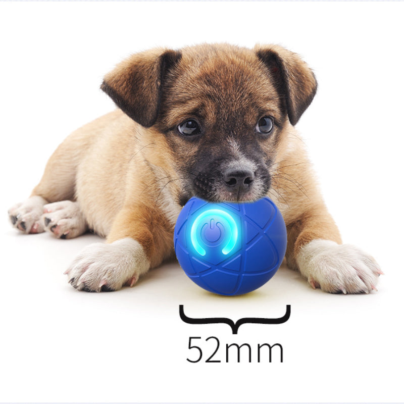 🥳VENDITA 2026🥳💞50.000+ VENDUTI!🐱🐶 SCONTO 50%! Pallina Intelligente Auto-Rimbalzante per Animali – Compagno di gioco autonomo, riduce ansia e noia. Resistente e sicura per cani piccoli e gatti. Ricarica USB! 🐾✨