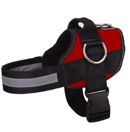 🥳SUPER OFFERTA 2026🥳💞50.000+ VENDUTI!⚡🐕 50% SCONTO! Pettorina No Pull – Vestibilità confortevole, fibbia sicura. Limita la trazione del cane – passeggiate tranquille senza strattoni! 🛡️✨