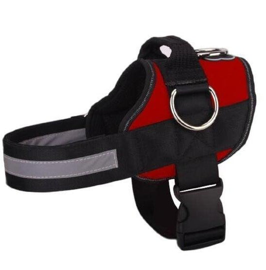 🥳SUPER OFFERTA 2026🥳💞50.000+ VENDUTI!⚡🐕 50% SCONTO! Pettorina No Pull – Vestibilità confortevole, fibbia sicura. Limita la trazione del cane – passeggiate tranquille senza strattoni! 🛡️✨