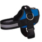🥳SUPER OFFERTA 2026🥳💞50.000+ VENDUTI!⚡🐕 50% SCONTO! Pettorina No Pull – Vestibilità confortevole, fibbia sicura. Limita la trazione del cane – passeggiate tranquille senza strattoni! 🛡️✨