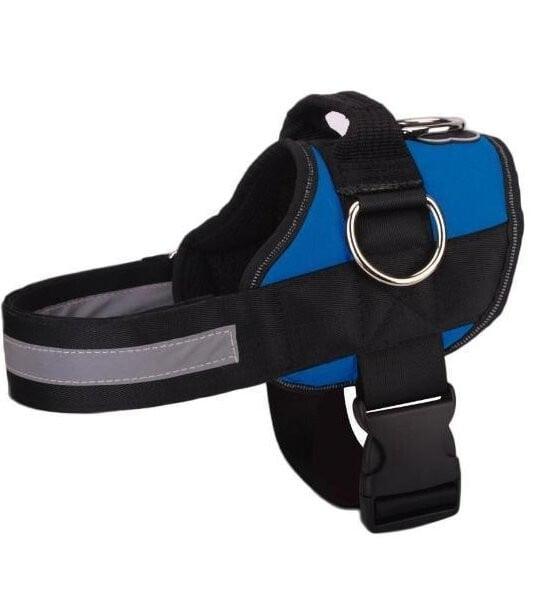 🥳SUPER OFFERTA 2026🥳💞50.000+ VENDUTI!⚡🐕 50% SCONTO! Pettorina No Pull – Vestibilità confortevole, fibbia sicura. Limita la trazione del cane – passeggiate tranquille senza strattoni! 🛡️✨