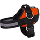 🥳SUPER OFFERTA 2026🥳💞50.000+ VENDUTI!⚡🐕 50% SCONTO! Pettorina No Pull – Vestibilità confortevole, fibbia sicura. Limita la trazione del cane – passeggiate tranquille senza strattoni! 🛡️✨