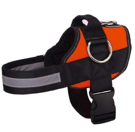 🥳SUPER OFFERTA 2026🥳💞50.000+ VENDUTI!⚡🐕 50% SCONTO! Pettorina No Pull – Vestibilità confortevole, fibbia sicura. Limita la trazione del cane – passeggiate tranquille senza strattoni! 🛡️✨