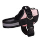 🥳SUPER OFFERTA 2026🥳💞50.000+ VENDUTI!⚡🐕 50% SCONTO! Pettorina No Pull – Vestibilità confortevole, fibbia sicura. Limita la trazione del cane – passeggiate tranquille senza strattoni! 🛡️✨
