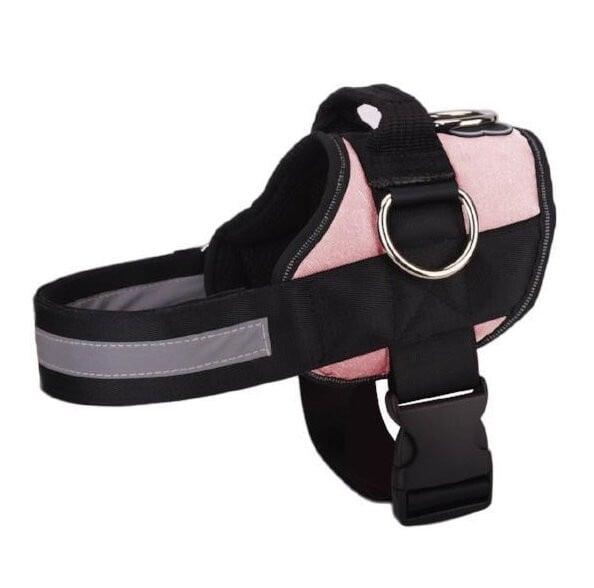 🥳SUPER OFFERTA 2026🥳💞50.000+ VENDUTI!⚡🐕 50% SCONTO! Pettorina No Pull – Vestibilità confortevole, fibbia sicura. Limita la trazione del cane – passeggiate tranquille senza strattoni! 🛡️✨
