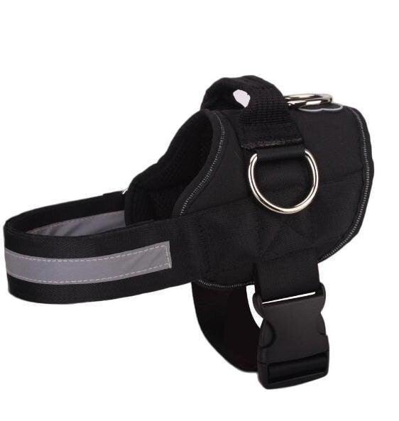 🥳SUPER OFFERTA 2026🥳💞50.000+ VENDUTI!⚡🐕 50% SCONTO! Pettorina No Pull – Vestibilità confortevole, fibbia sicura. Limita la trazione del cane – passeggiate tranquille senza strattoni! 🛡️✨
