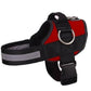 🥳SUPER OFFERTA 2026🥳💞50.000+ VENDUTI!⚡🐕 50% SCONTO! Pettorina No Pull – Vestibilità confortevole, fibbia sicura. Limita la trazione del cane – passeggiate tranquille senza strattoni! 🛡️✨