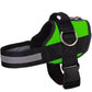 🥳SUPER OFFERTA 2026🥳💞50.000+ VENDUTI!⚡🐕 50% SCONTO! Pettorina No Pull – Vestibilità confortevole, fibbia sicura. Limita la trazione del cane – passeggiate tranquille senza strattoni! 🛡️✨