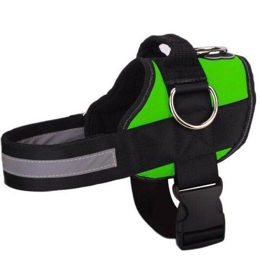 🥳SUPER OFFERTA 2026🥳💞50.000+ VENDUTI!⚡🐕 50% SCONTO! Pettorina No Pull – Vestibilità confortevole, fibbia sicura. Limita la trazione del cane – passeggiate tranquille senza strattoni! 🛡️✨