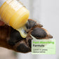🎁 Compra 1, 1 GRATIS! 🐶 Balsamo Idratante per Zampe – Cura Pratica per Zampe Morbide e Curate