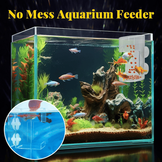 Anello e Vassoio per Alimentazione Acquario（50% DI SCONTO）