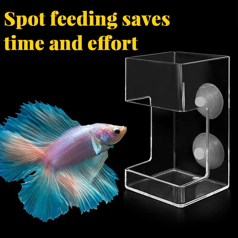 Anello e Vassoio per Alimentazione Acquario（50% DI SCONTO）