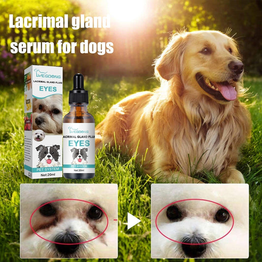 🐱🐶Detergente & Gocce Oculari per Animali – Formula delicata a pH bilanciato, sicura per cani e gatti. Lenisce il rossore, rimuove le macchie da lacrime e lo sporco quotidiano. Senza perossido! 🌿💧