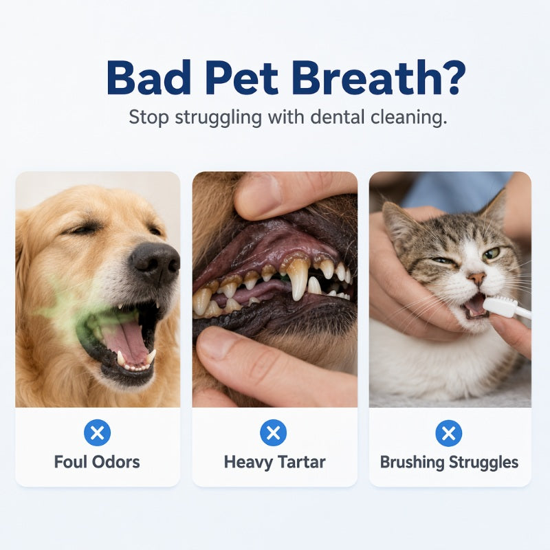 💞 PIÙ DI 50.000 VENDUTI! 🐶🐱 SCONTO 50%! Spray Detergente Orale per Animali – Rinfresca l'alito e favorisce l'igiene orale quotidiana. Nebbia delicata, facile da spruzzare – nessun bisogno di spazzolino! 🌸🦴