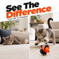 🦋 50% DI SCONTO ORA! 🐱 Giocattolo Farfalla Sensoriale Automatico per Gatti – Istintivo, Morbido & Resistente – Perfetto per il Gioco Attivo in Casa ✨