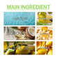 🔥Compra 2 Prendi 1 Gratis🍃 Olio Essenziale Puro al Rosmarino per Capelli ❤️Olio Profumato Levigante per la Crescita dei Capelli
