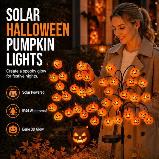 🥳Offerta 2026🥳💞10.000+ Venduti! 🎃☀️ 50% SCONTO! Luci Solari a Forma di Zucca – 76 cm, energia solare e impermeabili. Brillano dopo il tramonto – perfette per il giardino e il vialetto di Halloween! 🏡✨